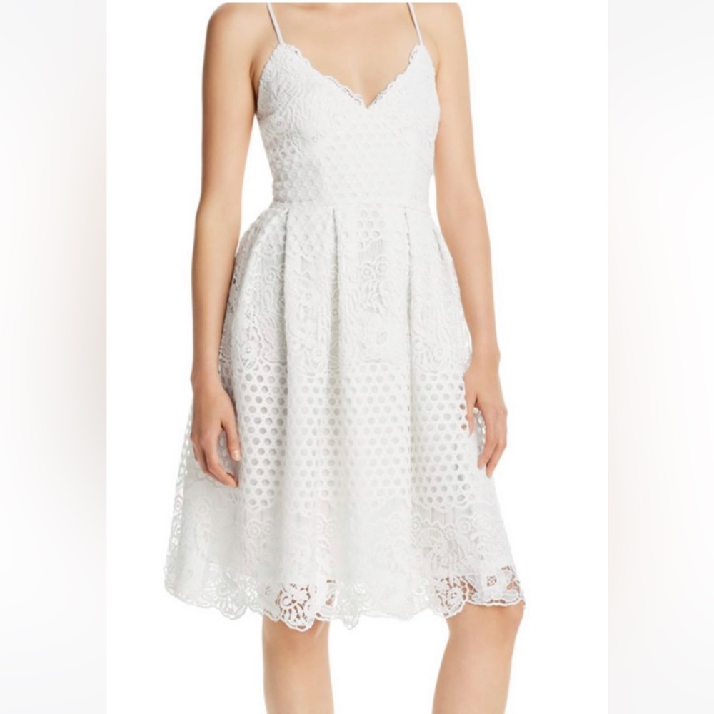Pleated Lace Fit-and-Flare Dress.